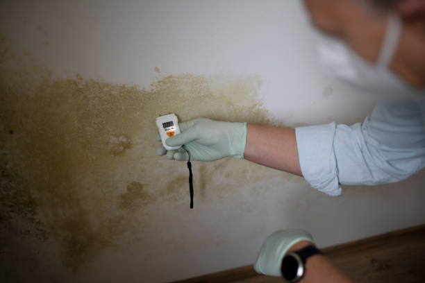 Mold Remediation for Vacation Homes in Fountain, CO